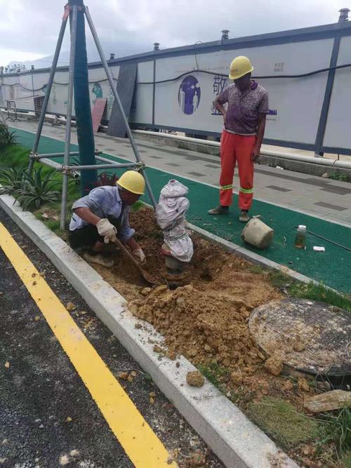 新葵坝路,海康路,鼓楼路,海潮路市政工程项目2019年7月12日施工简报