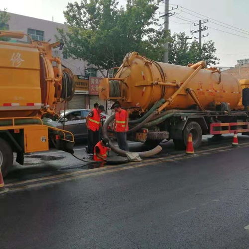 黄浦区专业市政工程养护哪家好
