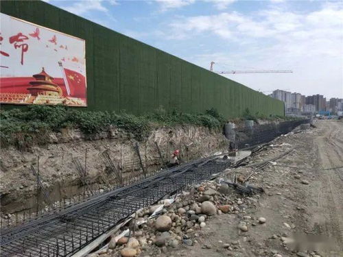今年,眉山主城区多条新建市政道路将具备通车能力,在你家附近吗