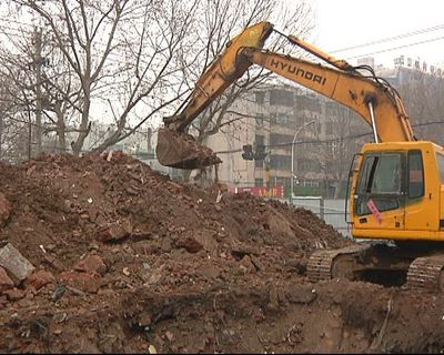 人民大道开始移植法桐 道路拓宽改造在即