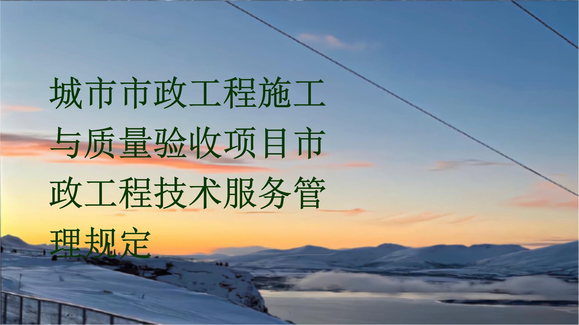 城市市政工程施工与质量验收项目市政工程技术服务管理规定