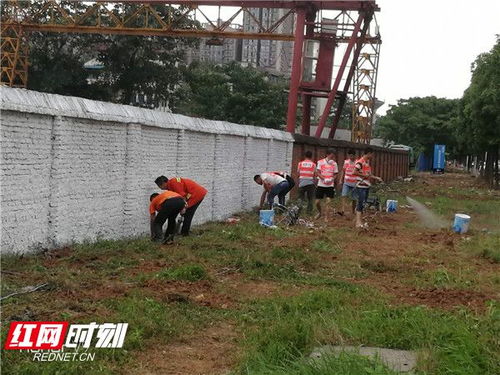 创卫进行时丨衡阳市政人在行动 西合路边坡复绿