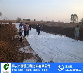 景观膨润土防水毯厂家 景观膨润土防水毯 唐能 图